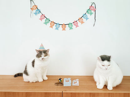 KIKO CAT HAPPY BIRTHDAY KIT（猫の誕生日キット）