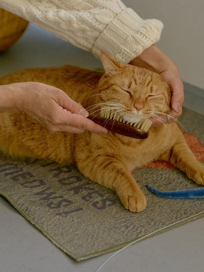 オルネコ・ケアマット／毛糸で遊ぶ猫