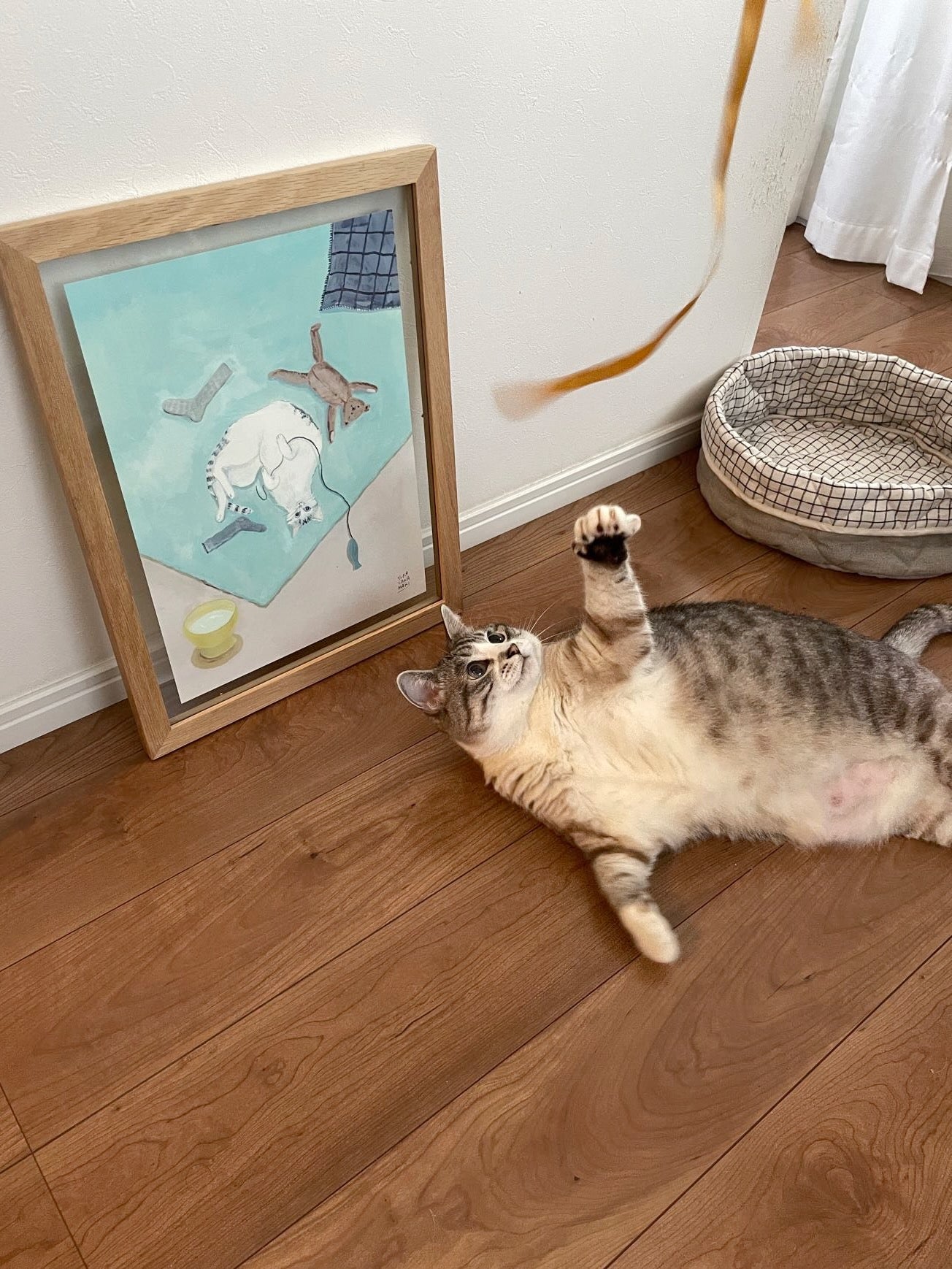 猫 アートパネル 壁画 絵画 40✖️30 - その他