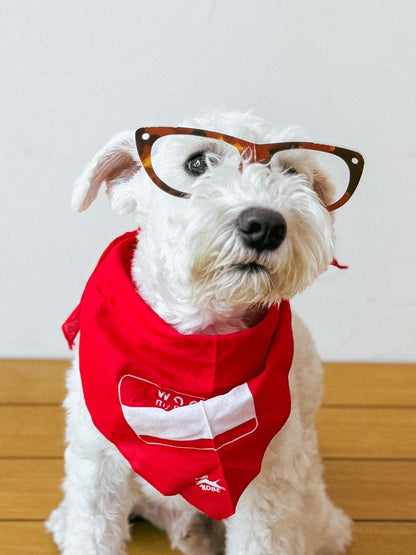 KOBE TAKE YOUR DOG TO WORK DAY KIT（犬のお仕事キット）