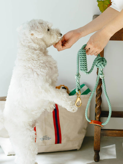 KNOT DOG LEASH（犬用リード）