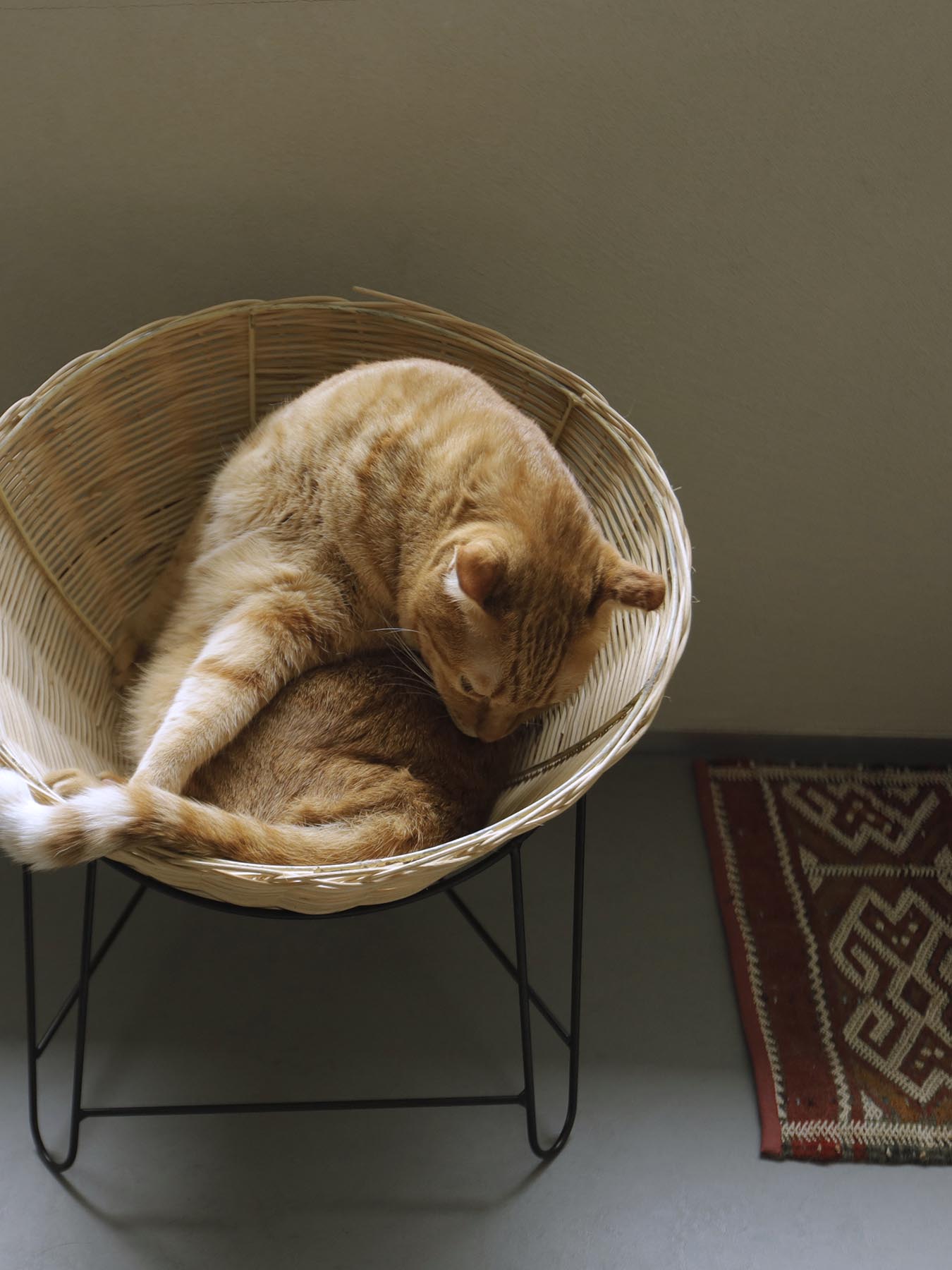 猫用ラタンチェア - ベッド・クッション・ハウス