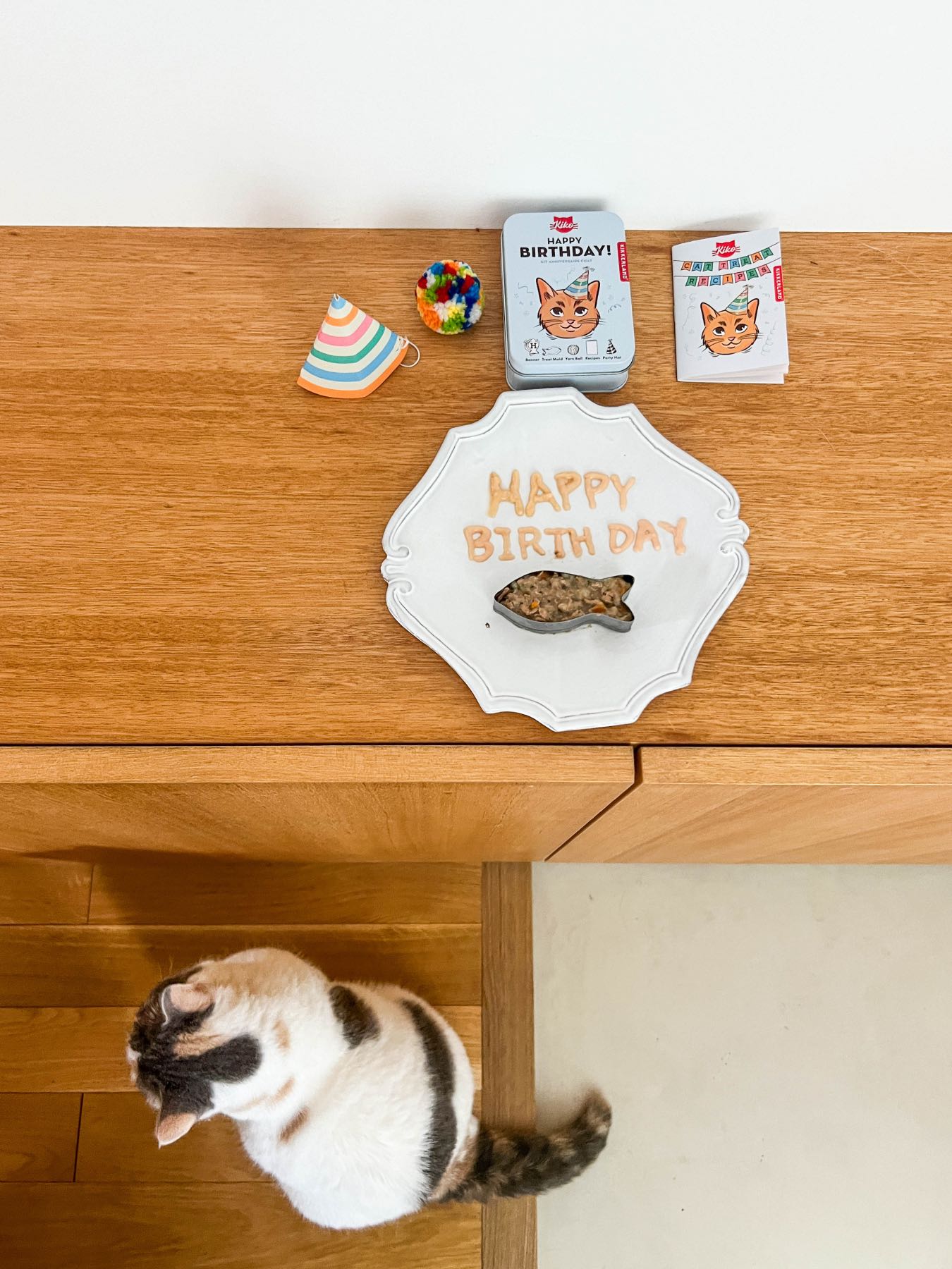 KIKO CAT HAPPY BIRTHDAY KIT（猫の誕生日キット）