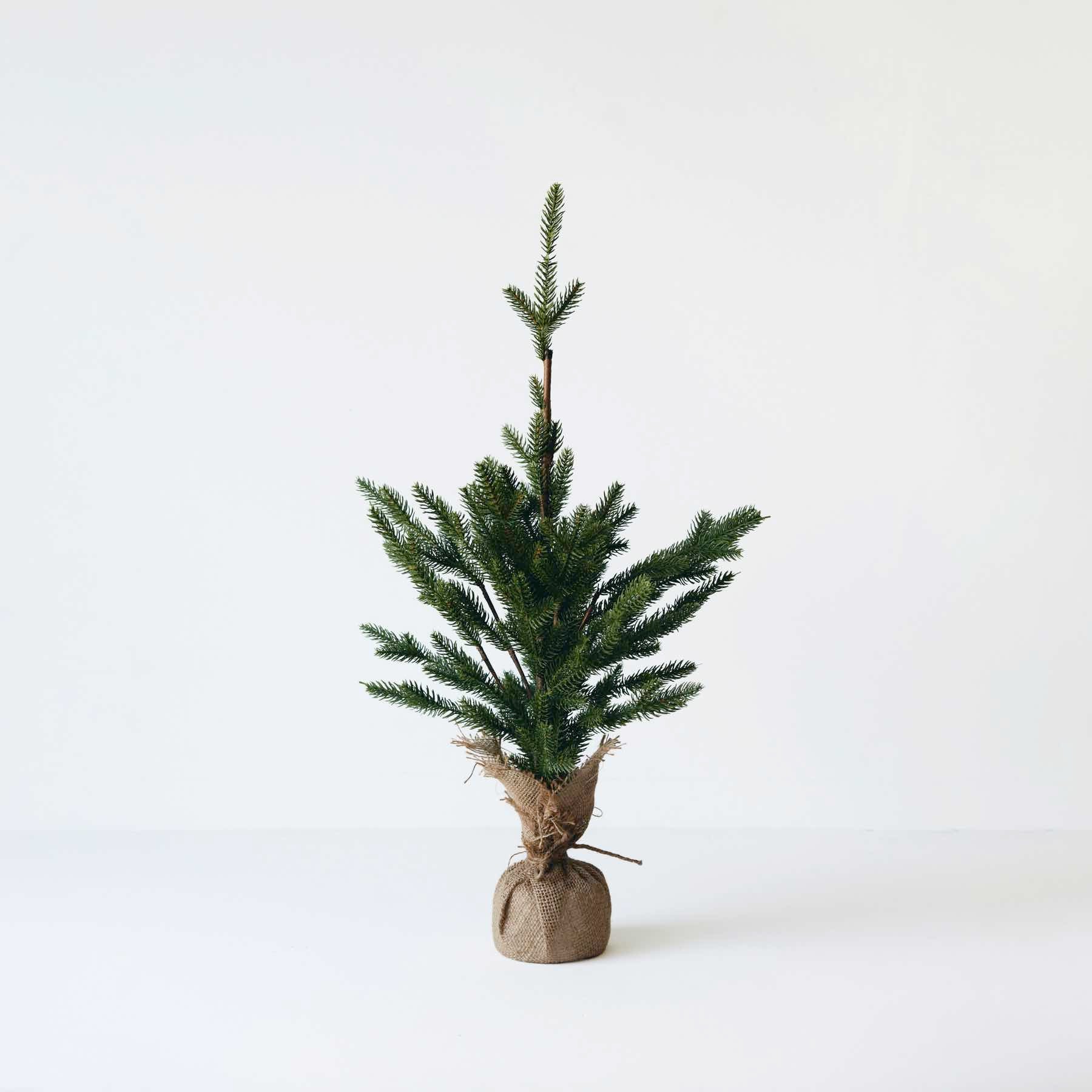 SHISHI クリスマスツリー